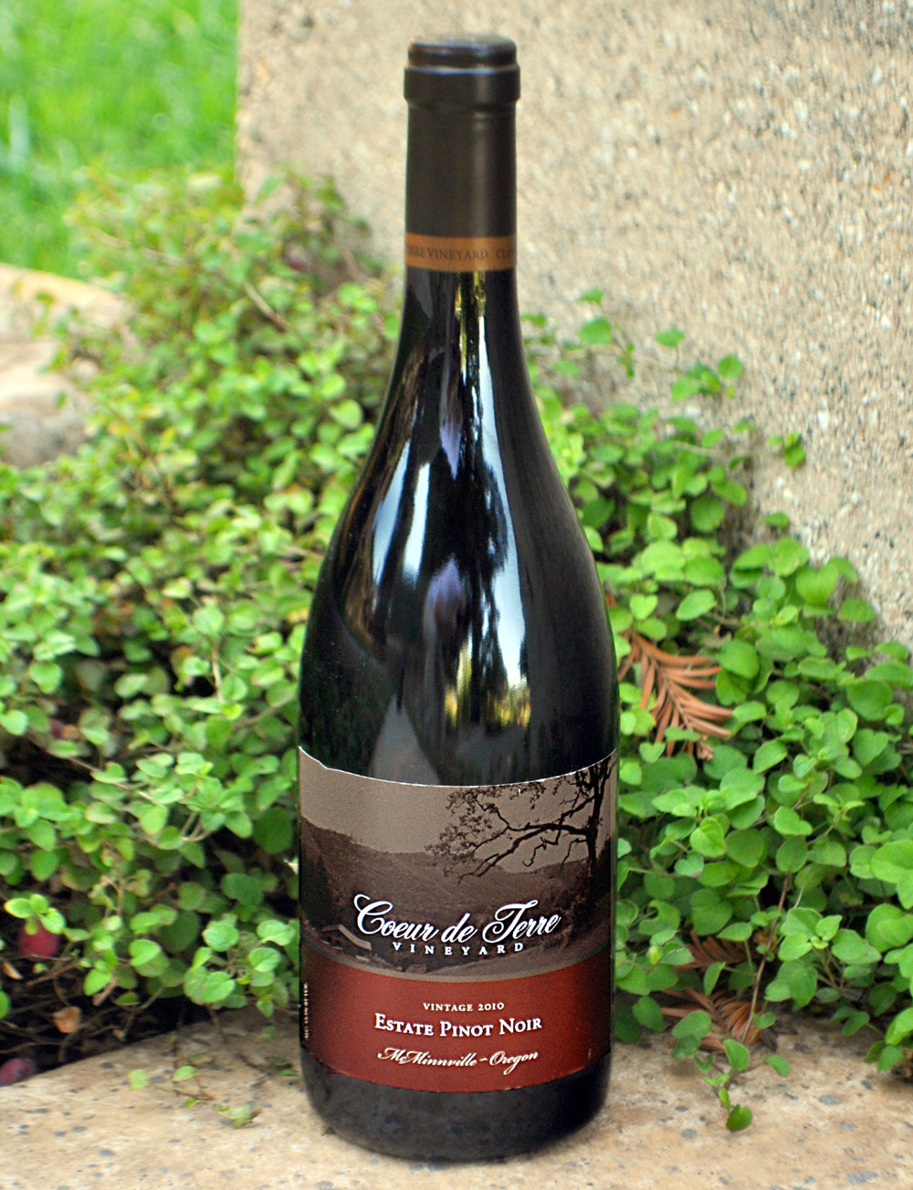 Coeur de Terre 2010 Estate Pinot Noir 750ml Wine Bottle