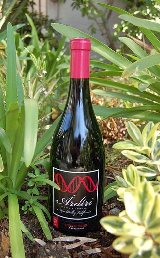Ardiri Wine 2006 Pinot Noir Carneros 750ml Wine Bottle