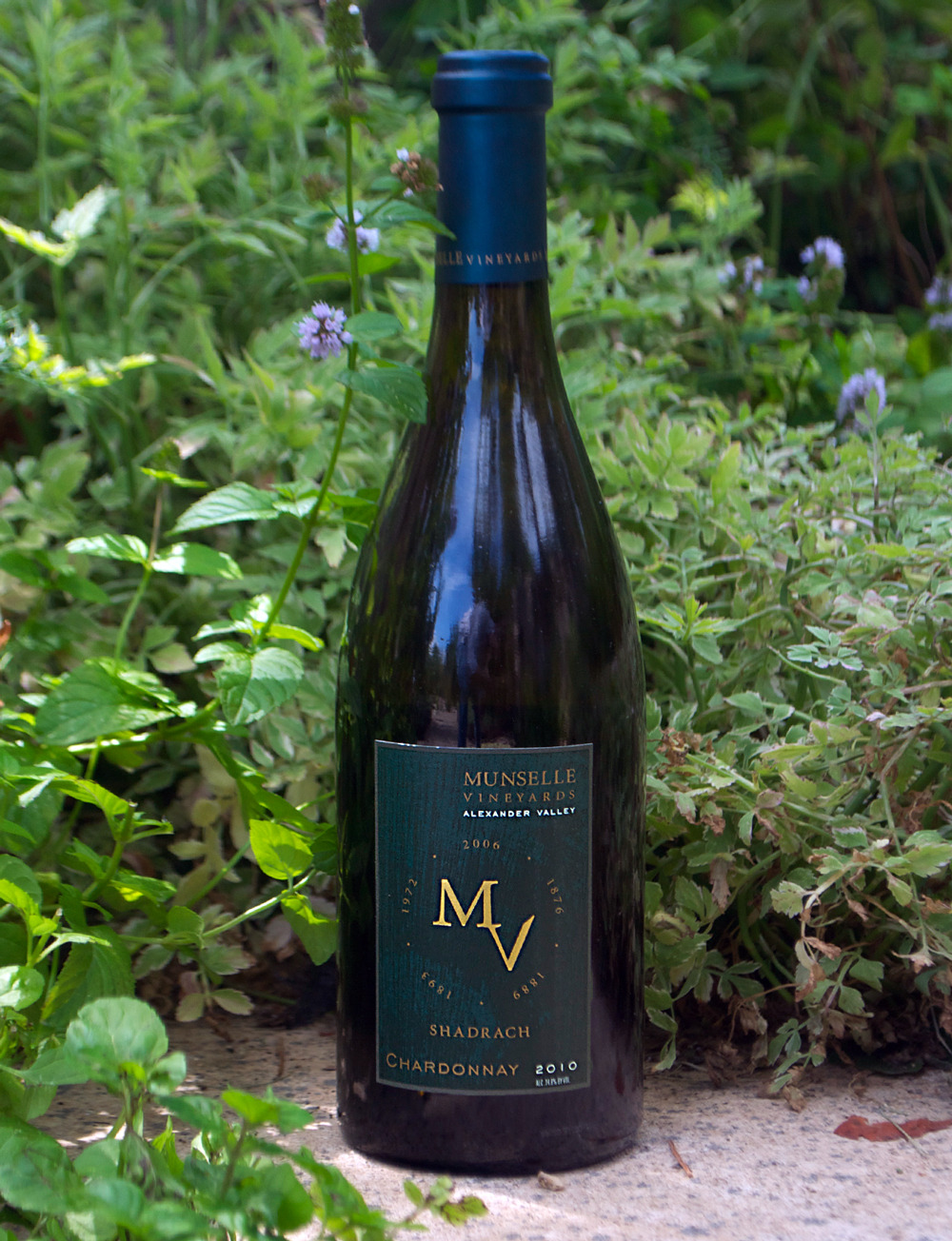 Munselle Vineyards 2010 Shadrach Chardonnay 750ml Wine Bottle