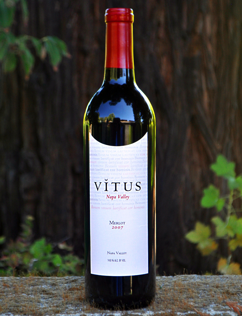 Vitus Wines 2007 Merlot 750ml Wine Bottle