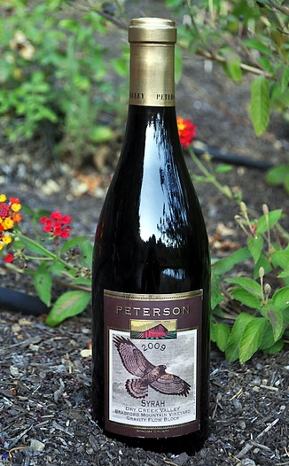 Peterson 2009 Bradford Mountain Dry Creek Valley Syrah 750ml Wine Bottle
