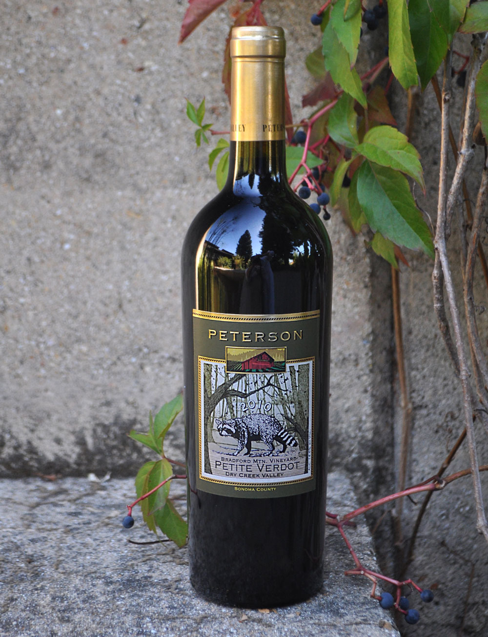 Peterson 2010 Bradford Mountain Dry Creek Valley Petite Verdot 750ml Wine Bottle