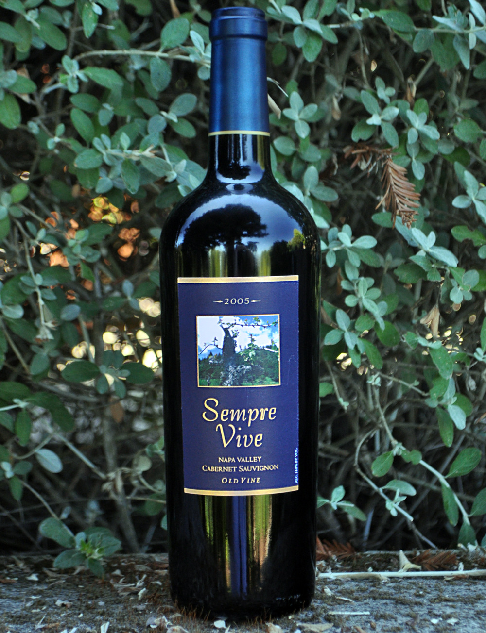 Romeo Vineyards 2005 Sempre Vive Napa Old Vine Cabernet Sauvignon 750ml Wine Bottle