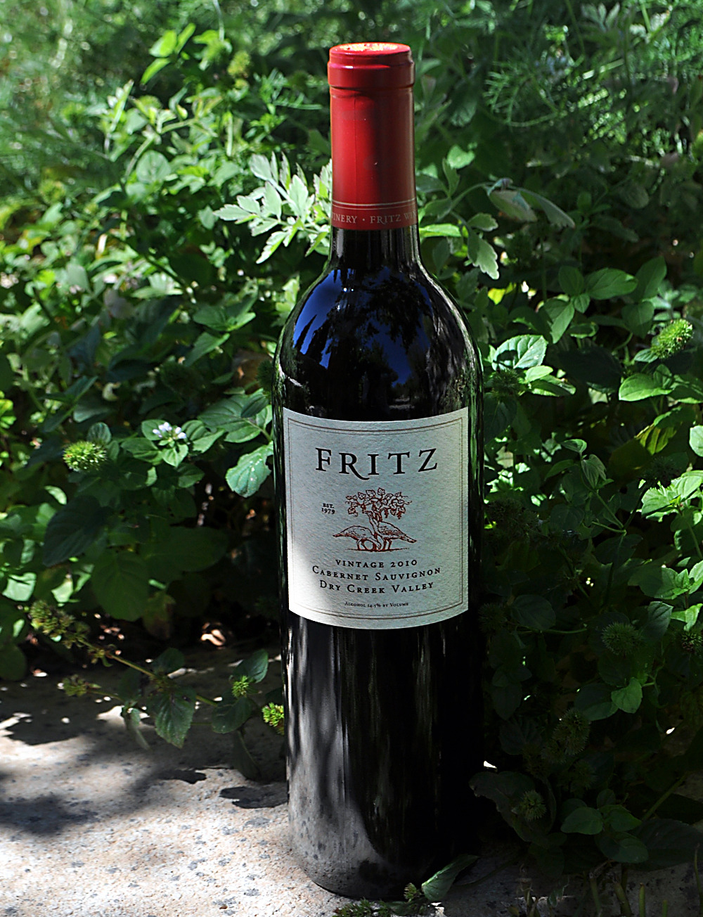 Fritz Underground Winery 2010 Dry Creek Valley Cabernet Sauvignon 750ml Wine Bottle