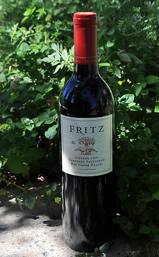 Fritz Underground Winery 2010 Dry Creek Valley Cabernet Sauvignon 750ml Wine Bottle