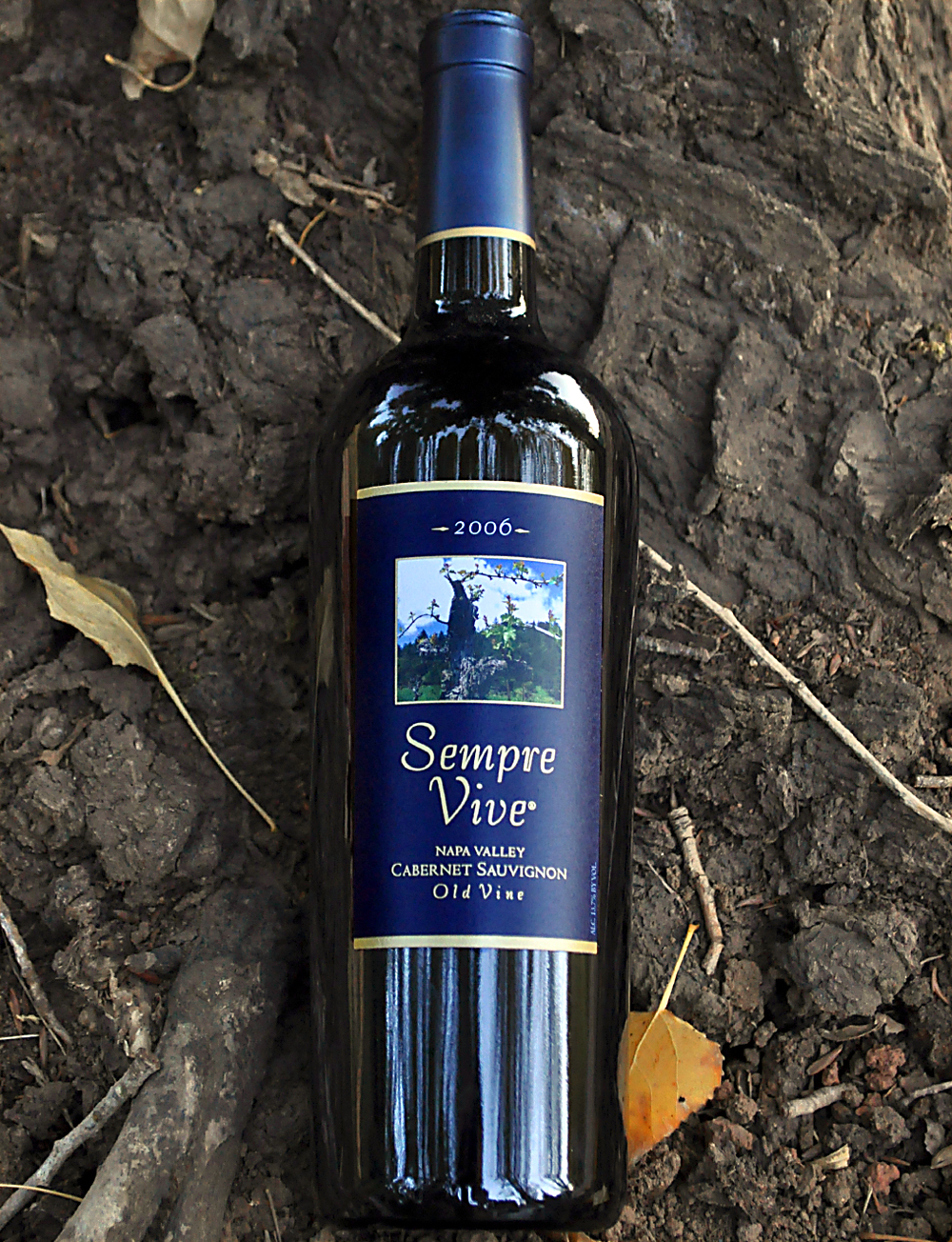 Romeo Vineyards 2006 Sempre Vive Napa Old Vine Cabernet Sauvignon 750ml Wine Bottle