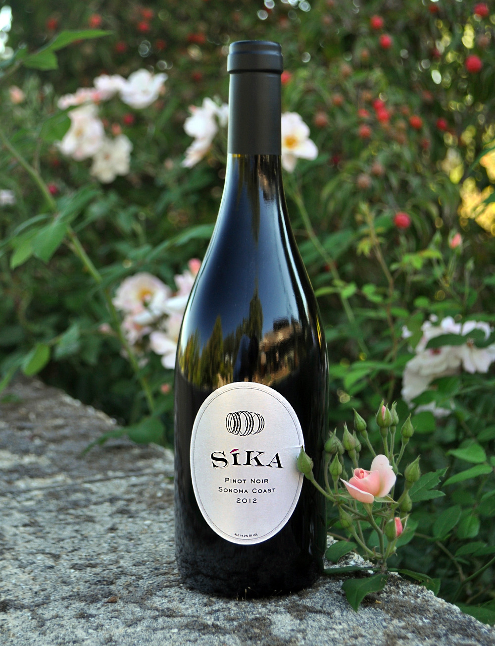 Sika Wines 2012 Sika Winery Pinot Noir 750ml Wine Bottle