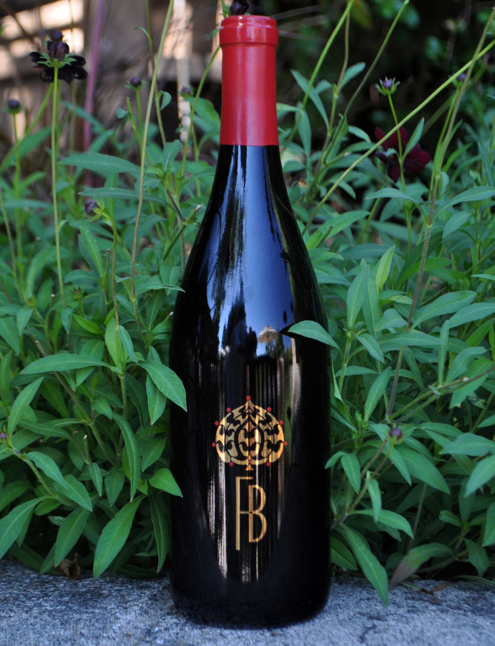 Fotinos Brothers 2010 Los Carneros Pinot Noir 750ml Wine Bottle