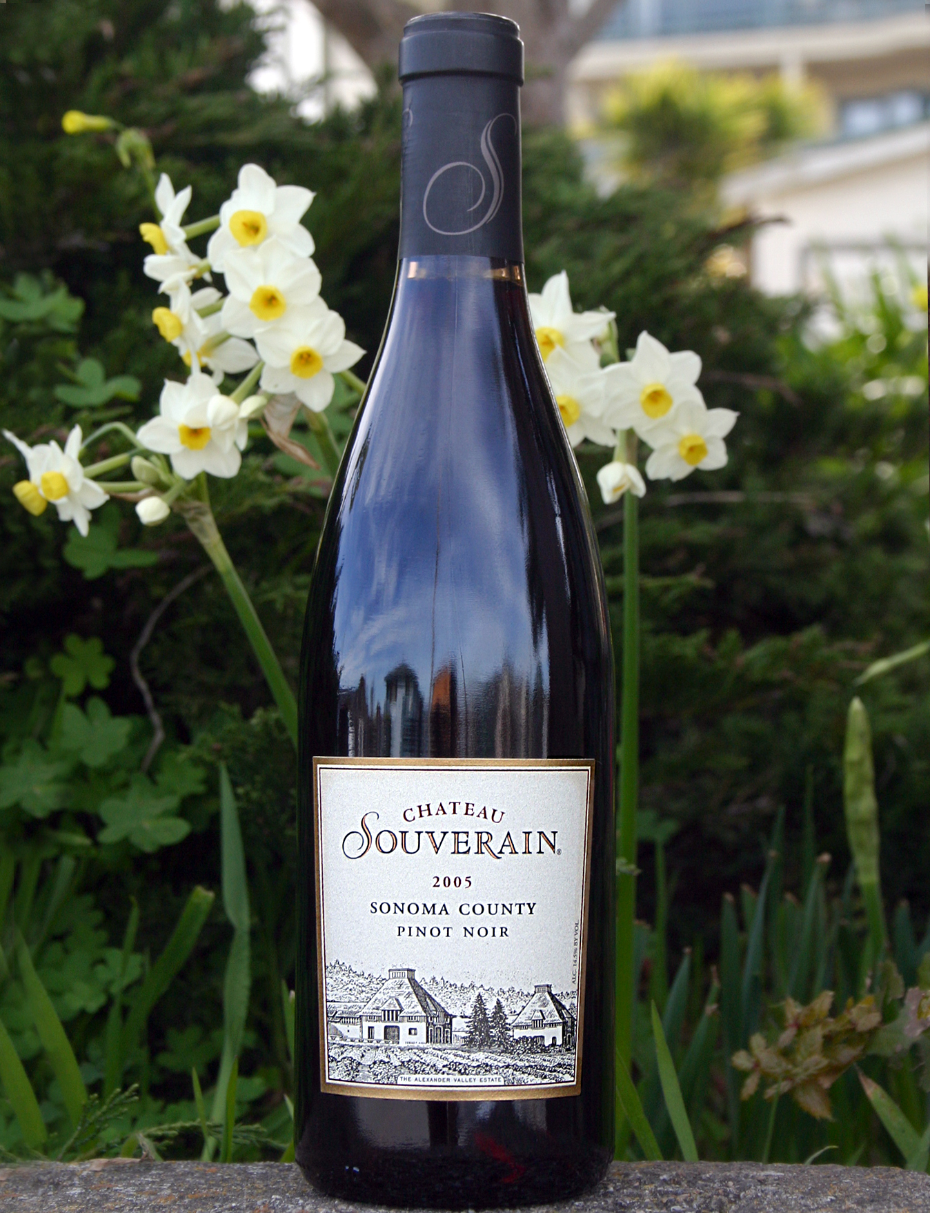 Souverain 2005 Pinot Noir 750ml Wine Bottle
