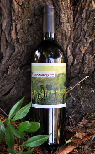 W3 - William White Wines 2007 Cabernet Sauvignon 750ml Wine Bottle