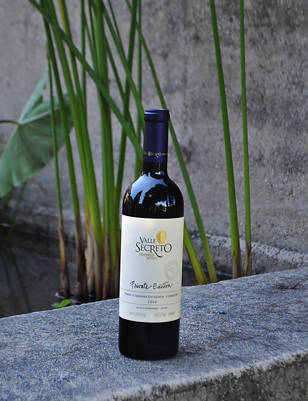 Valle Secreto 2010 Private Edition Red Blend 750ml Wine Bottle