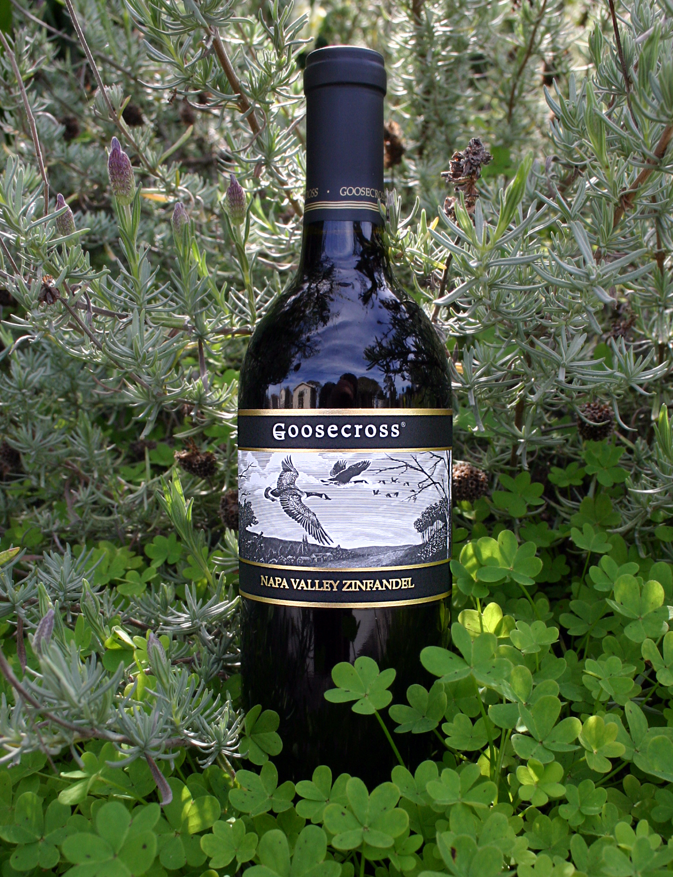 Goosecross Cellars 2005 Napa Zinfandel 750ml Wine Bottle