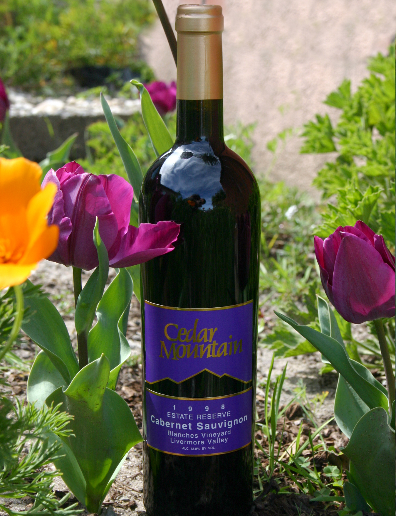 Cedar Mountain Winery 1998 Reserve Cabernet Sauvignon 750ml Wine Bottle