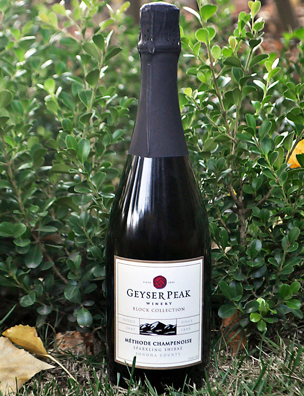 Geyser Peak Winery 2007 Sonoma County Sparkling Shiraz 750ml Wine Bottle