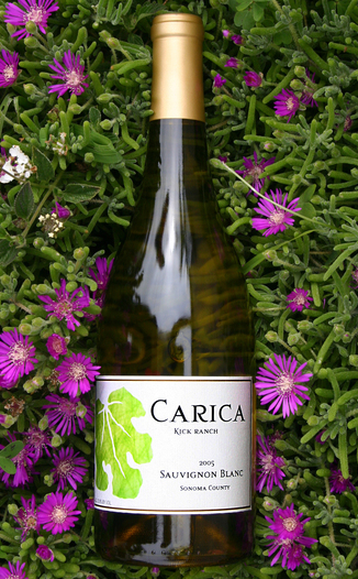 Carica 2005 Kick Ranch Sauvignon Blanc 750ml Wine Bottle