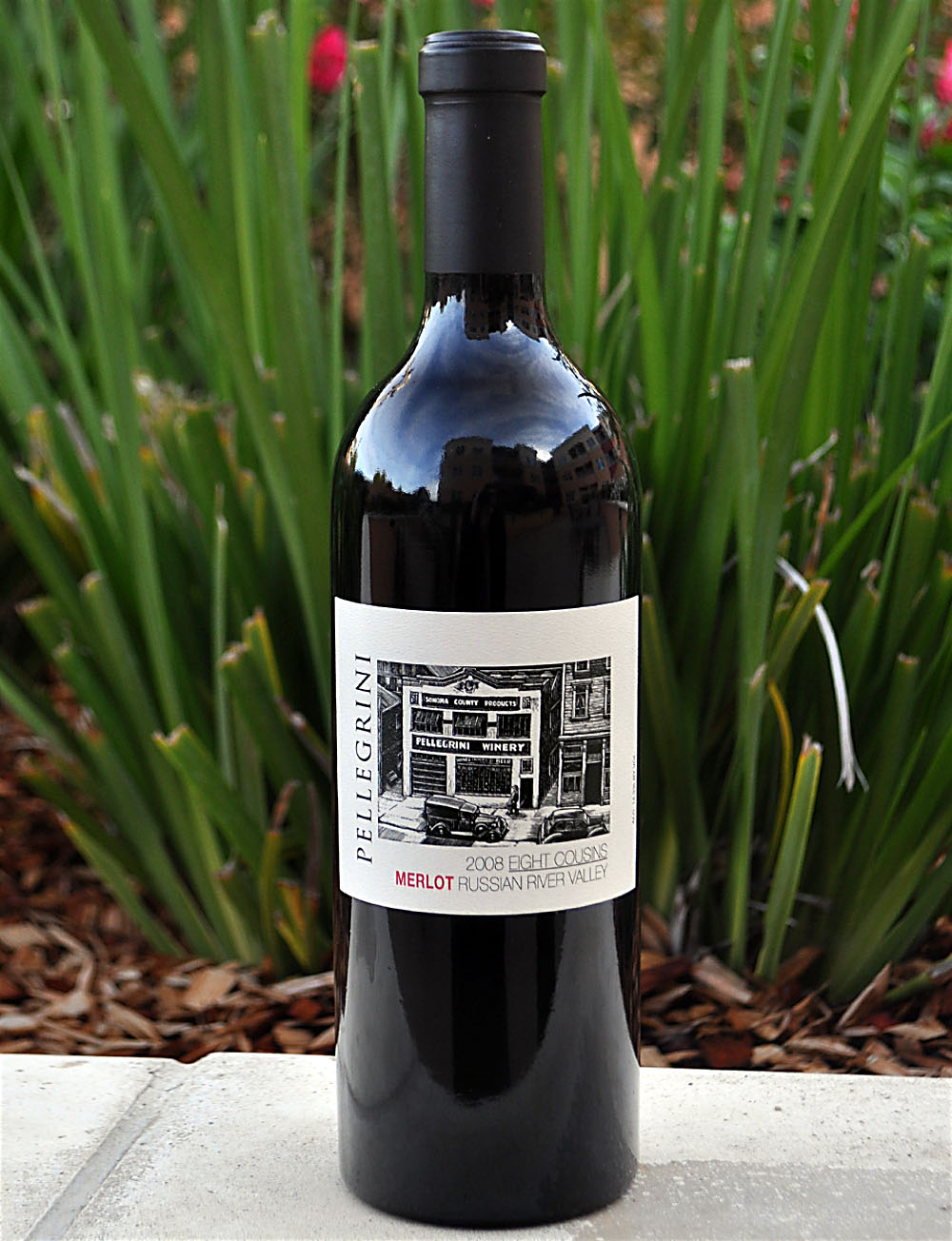 Pellegrini Family Wines 2008 Eight Cousins Russian River Merlot 750ml Wine Bottle