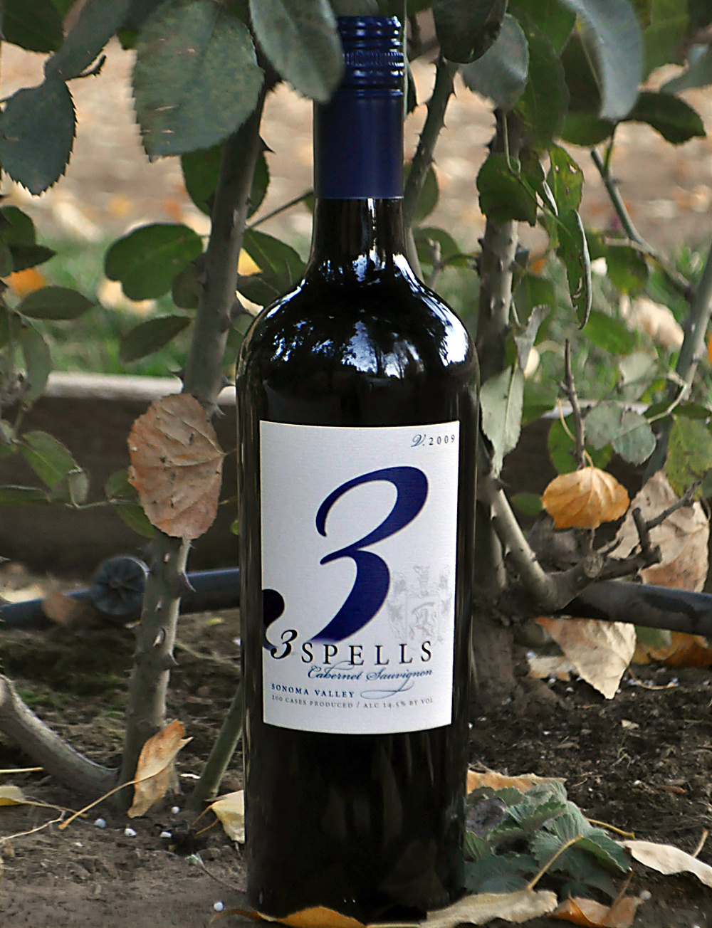 Spelletich Cellars 2009 3 Spells Sonoma Valley Cabernet Sauvignon 750ml Wine Bottle