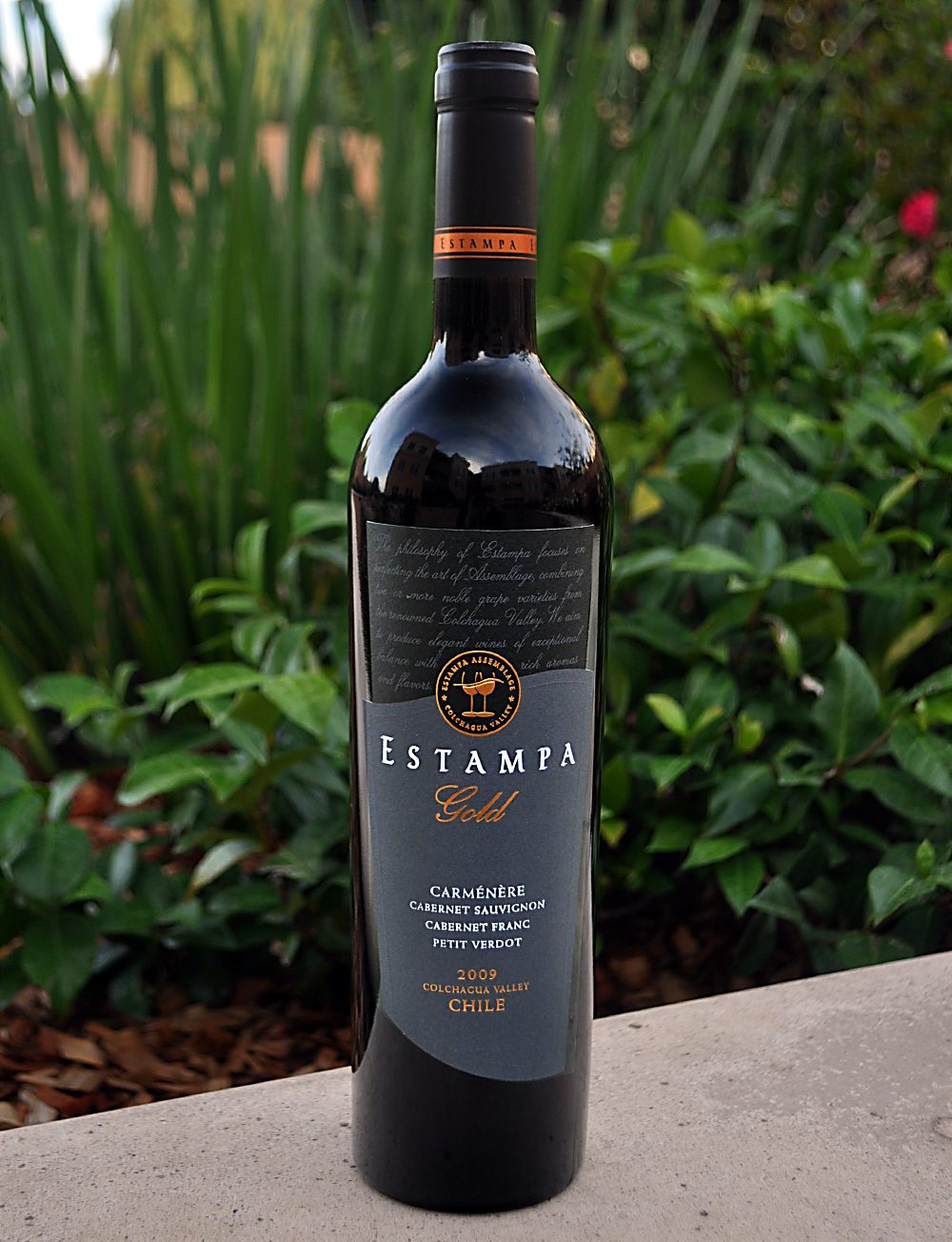 Estampa 2009 Gold Carmenere 750ml Wine Bottle