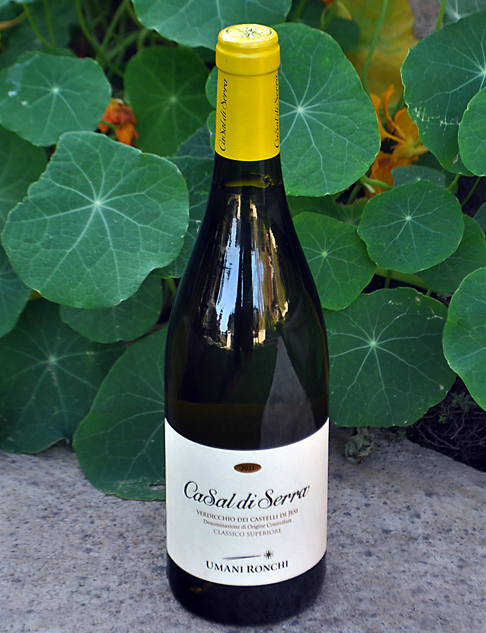 Umani Ronchi 2011 Ca Sal di Serra 750ml Wine Bottle