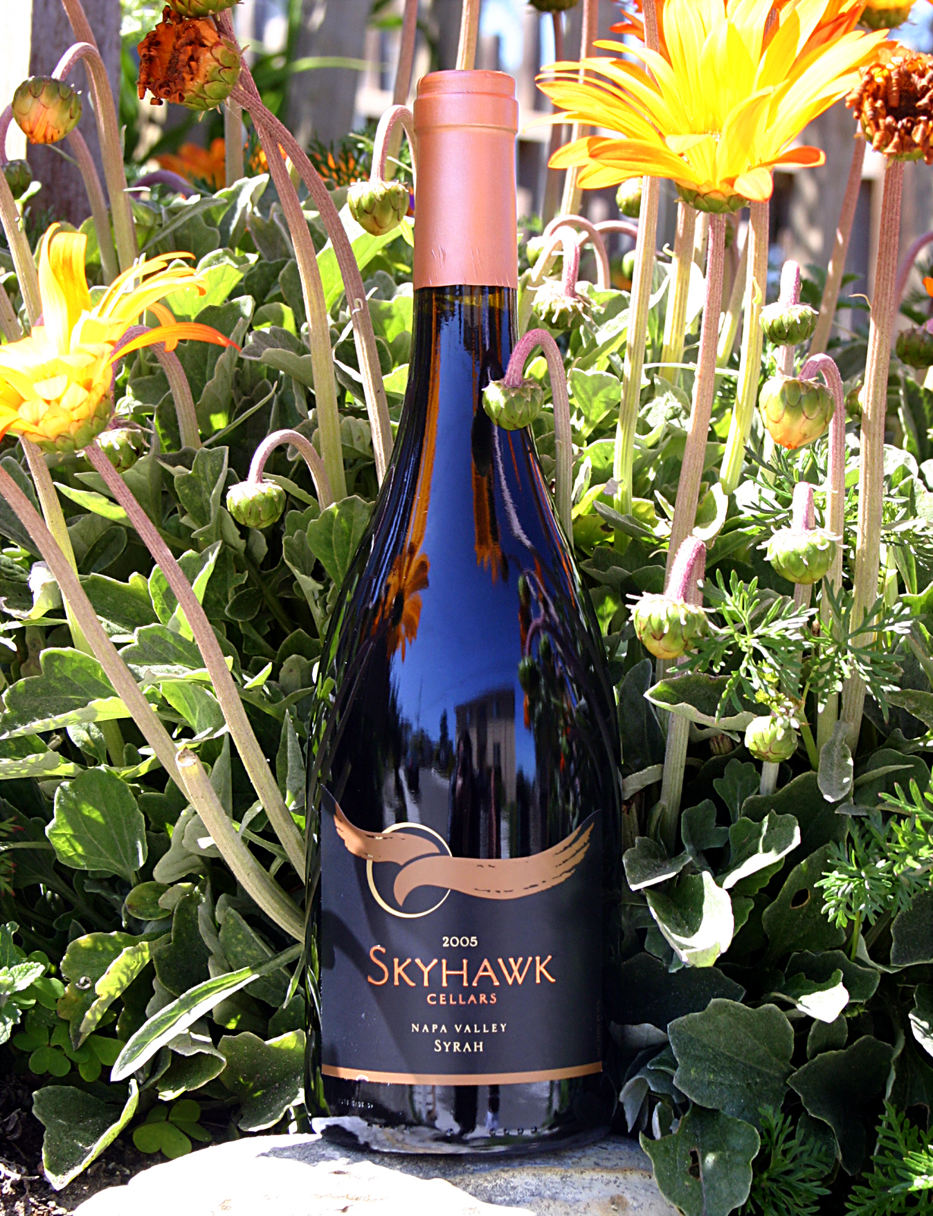 Eagle & Rose Estate & Skyhawk Cellars 2005 Napa Valley Syrah 750ml Wine Bottle
