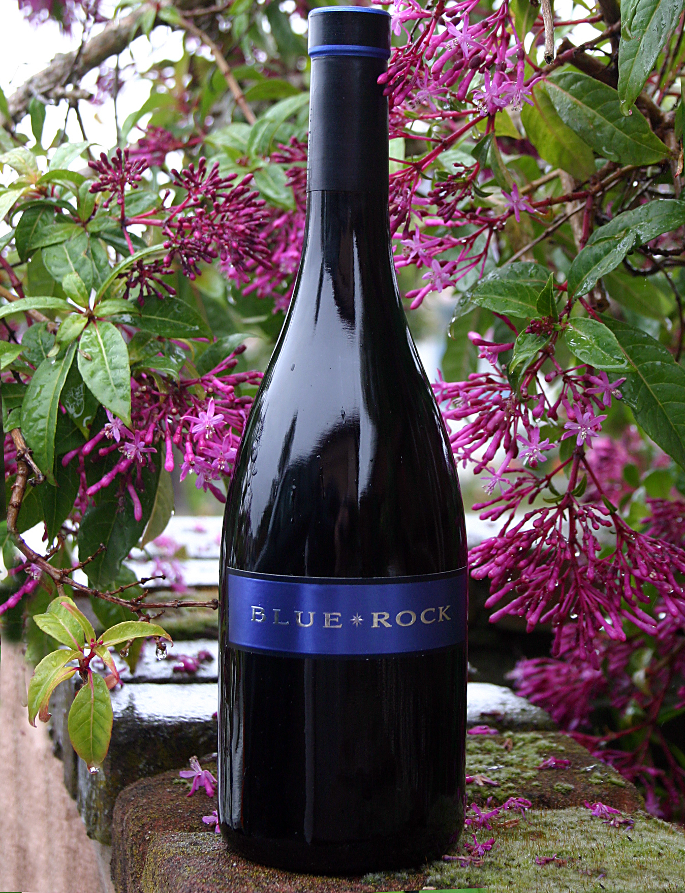 Blue Rock Vineyard 2004 Syrah 750ml Wine Bottle
