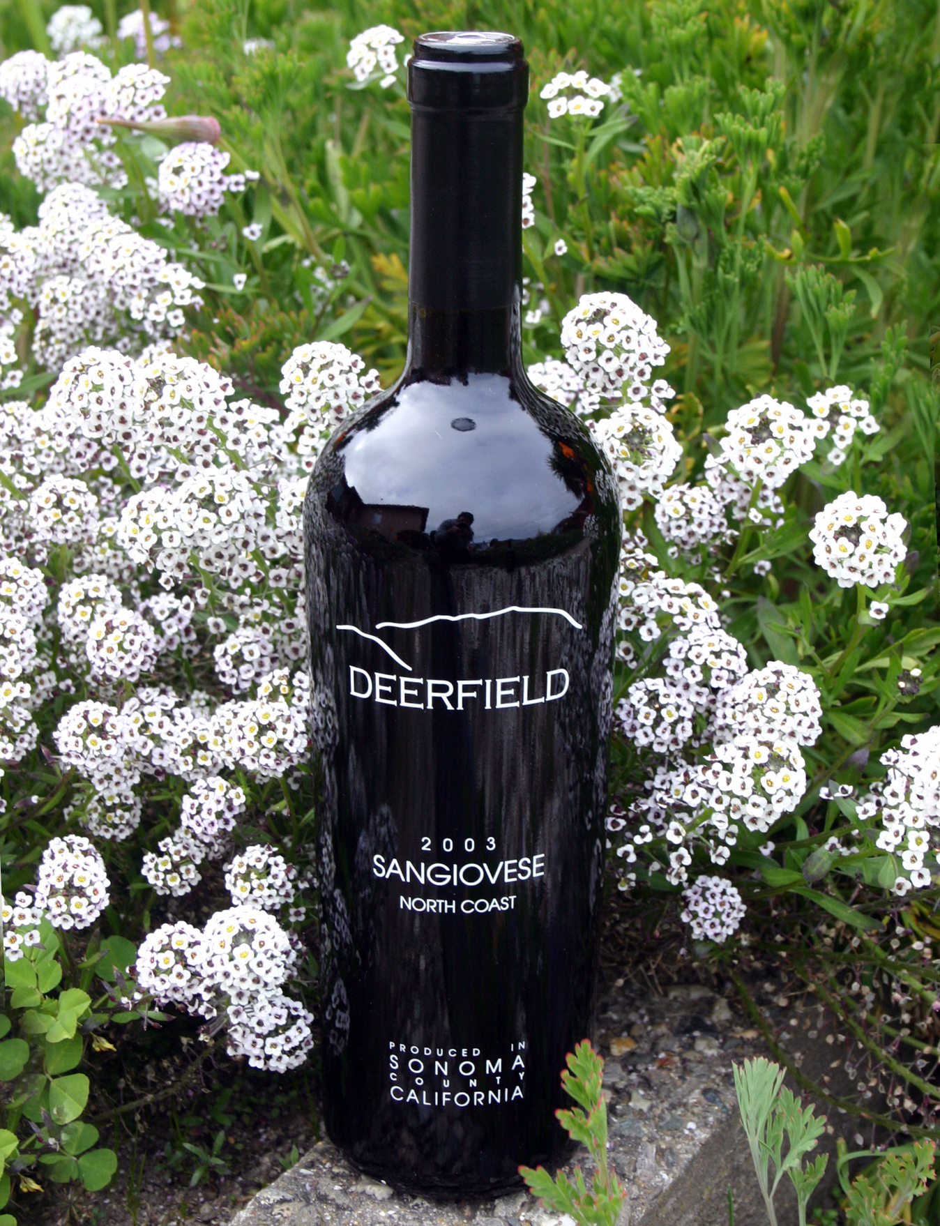 Deerfield Ranch 2003 Sangiovese 750ml Wine Bottle