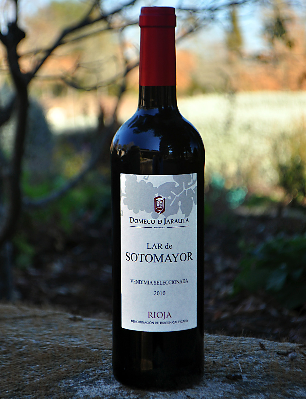 Domeco de Jarauta 2010 Lar de Sotomayor Vendimia Seleccionada 750ml Wine Bottle
