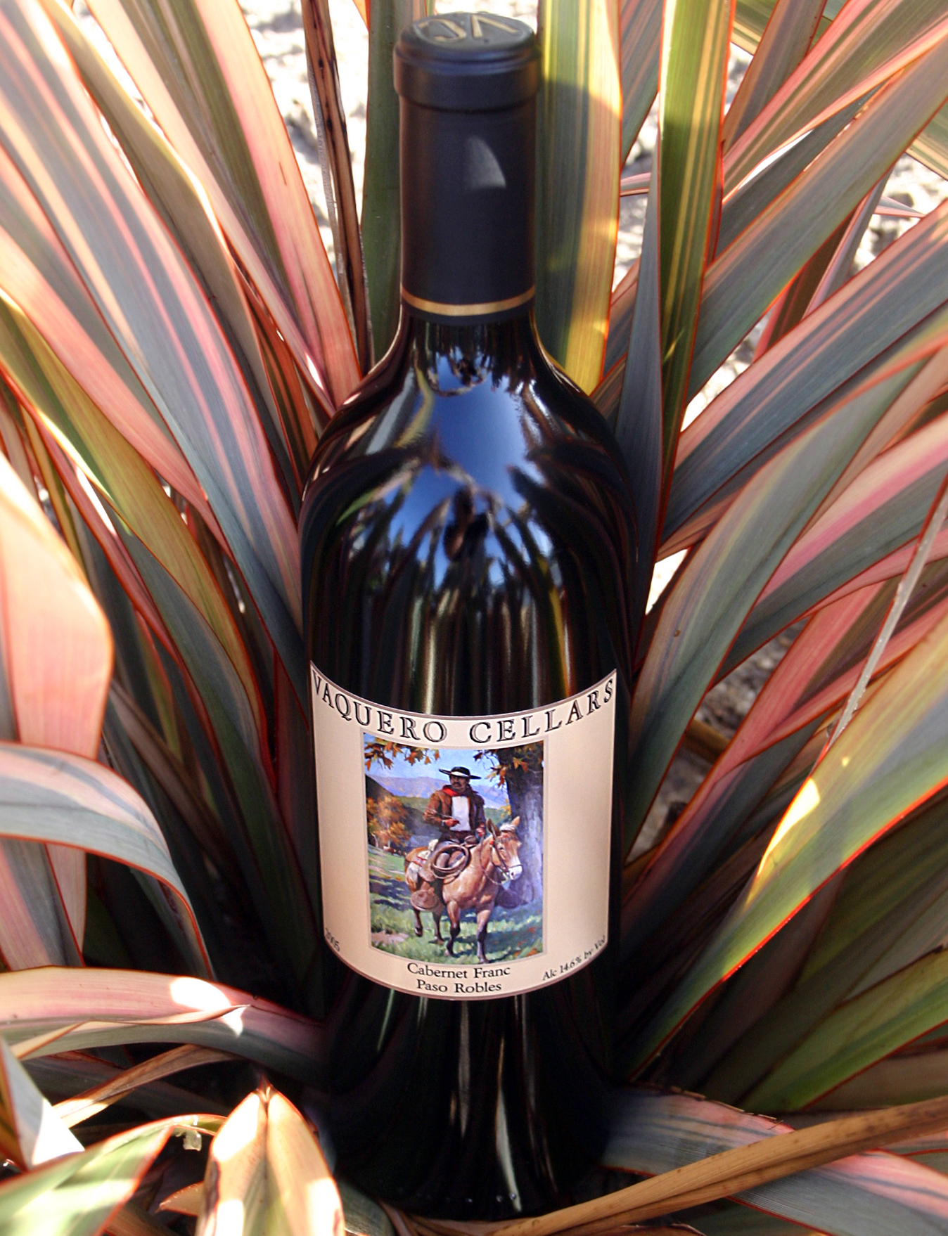 Vaquero Cellars 2005 Cabernet Franc 750ml Wine Bottle