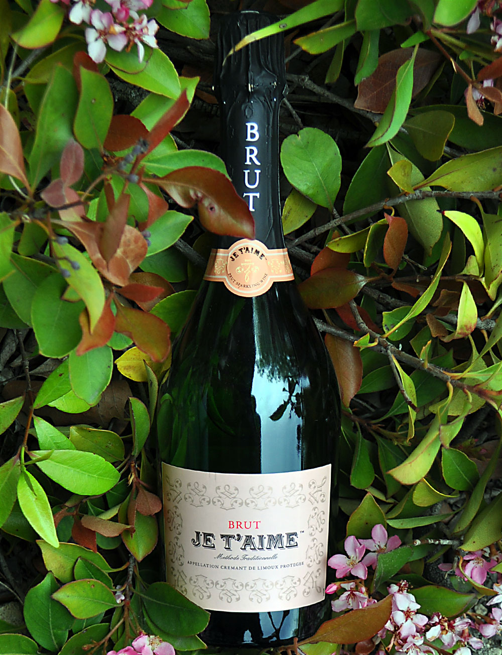 Je T'aime NV Methode Traditionnelle Brut Sparkling Wine 750ml Wine Bottle