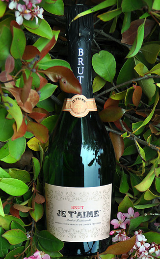 Je T'aime NV Methode Traditionnelle Brut Sparkling Wine 750ml Wine Bottle