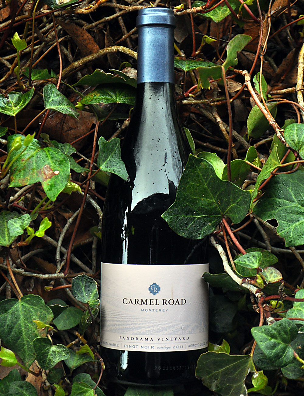 Carmel Road 2011 Panorama Vineyard Monterey Pinot Noir 750ml Wine Bottle
