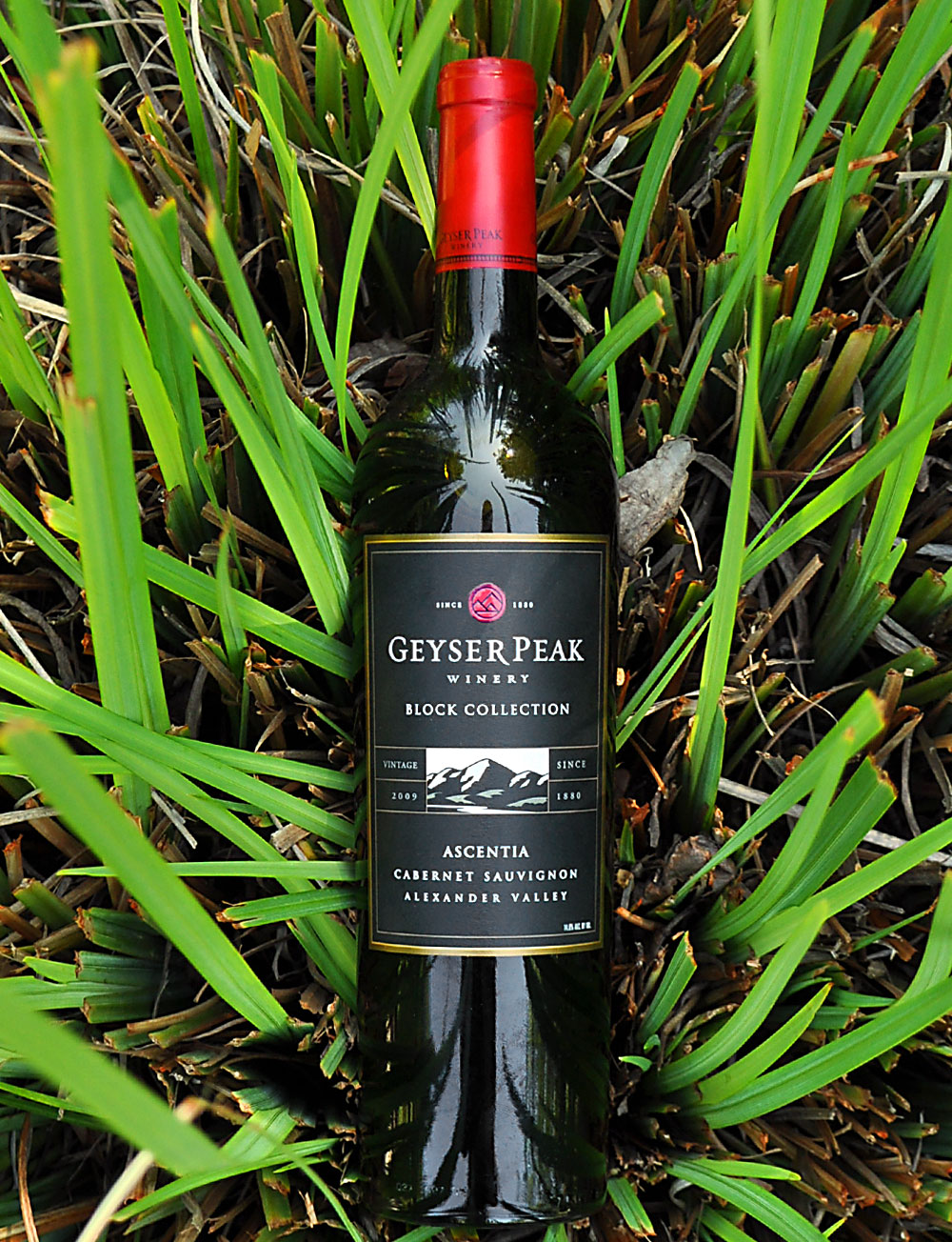 Geyser Peak Winery 2009 Alexander Valley Ascentia Cabernet Sauvignon 750ml Wine Bottle