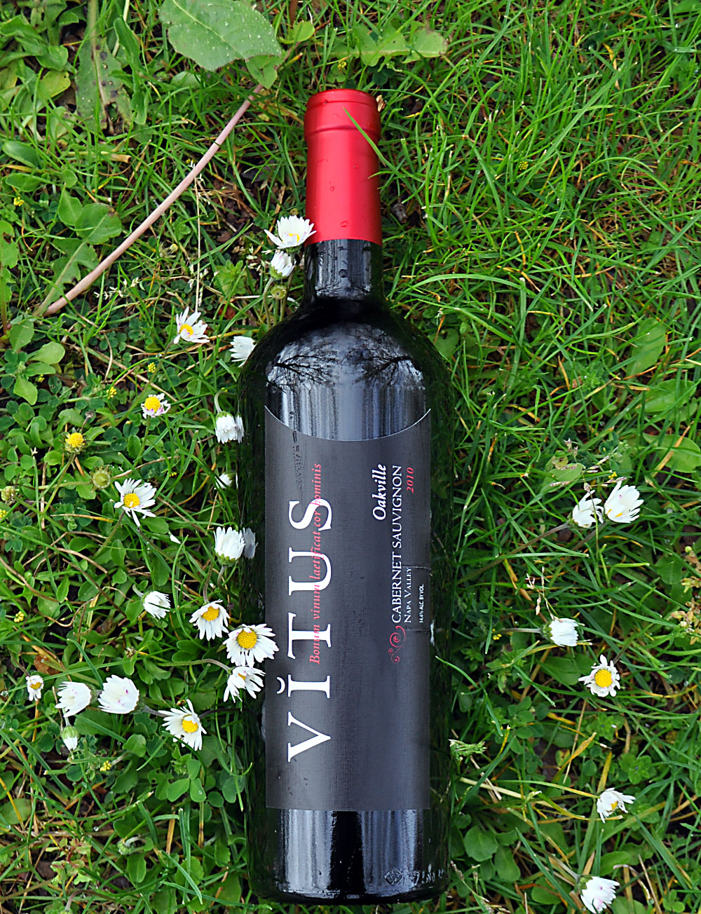 Vitus Wines 2010 Oakville Cabernet Sauvignon 750ml Wine Bottle