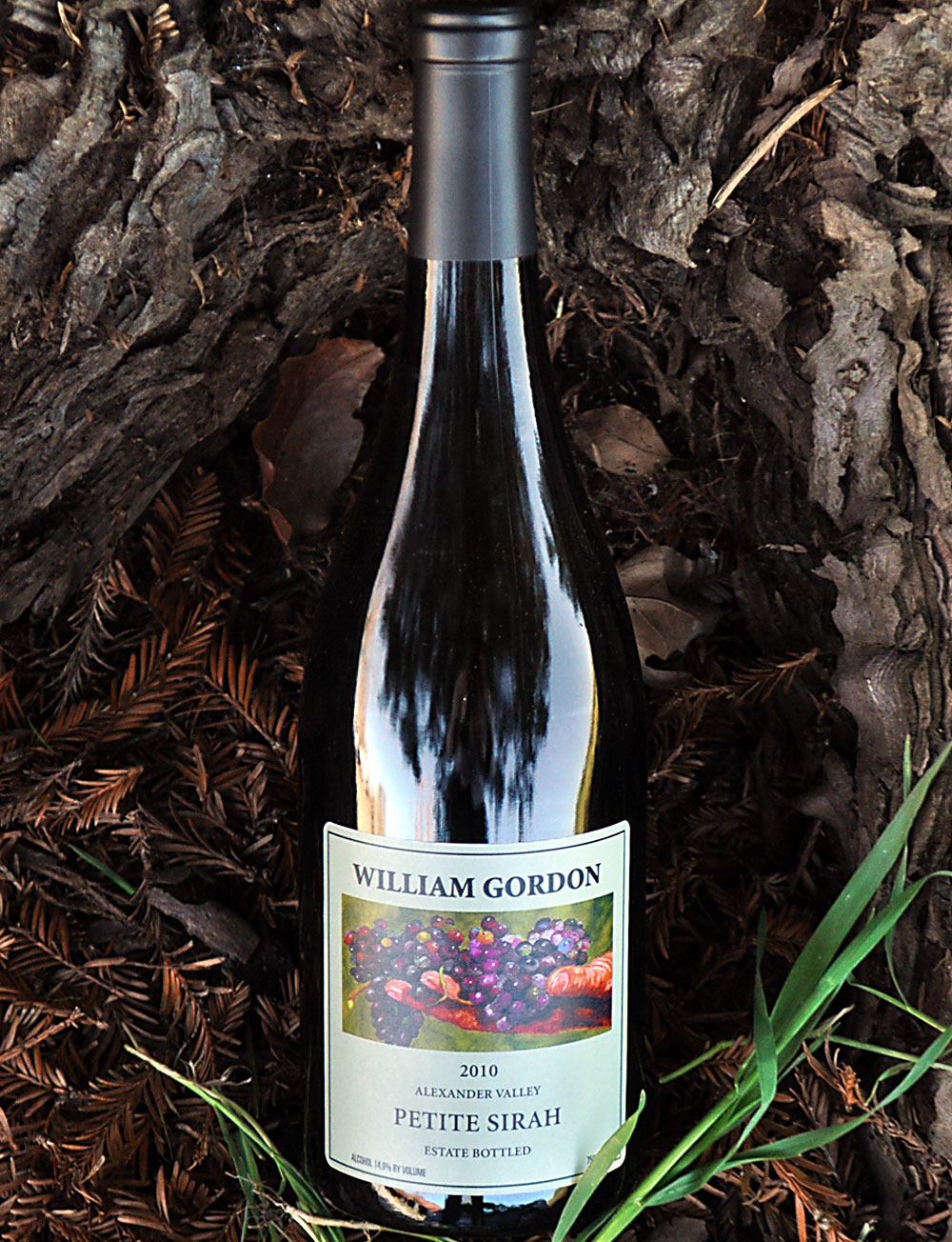 William Gordon Winery 2010 Alexander Valley Petite Sirah 750ml Wine Bottle