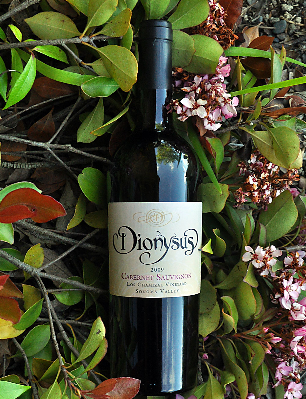 Dionysus Winery 2009 Sonoma Valley Cabernet Sauvignon 750ml Wine Bottle