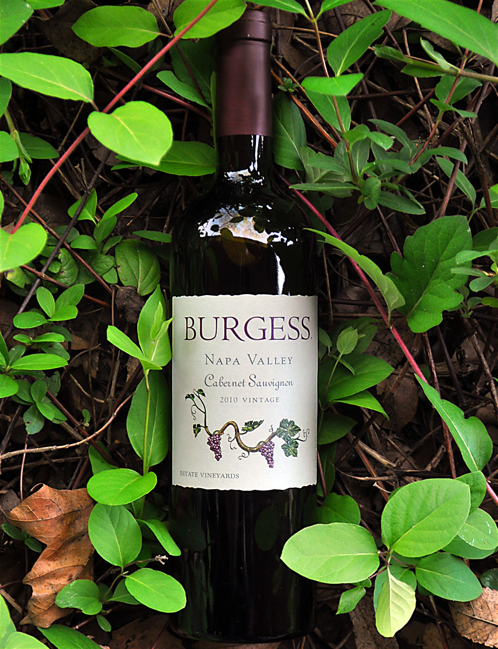 Burgess Cellars 2010 Napa Valley Cabernet Sauvignon 750ml Wine Bottle