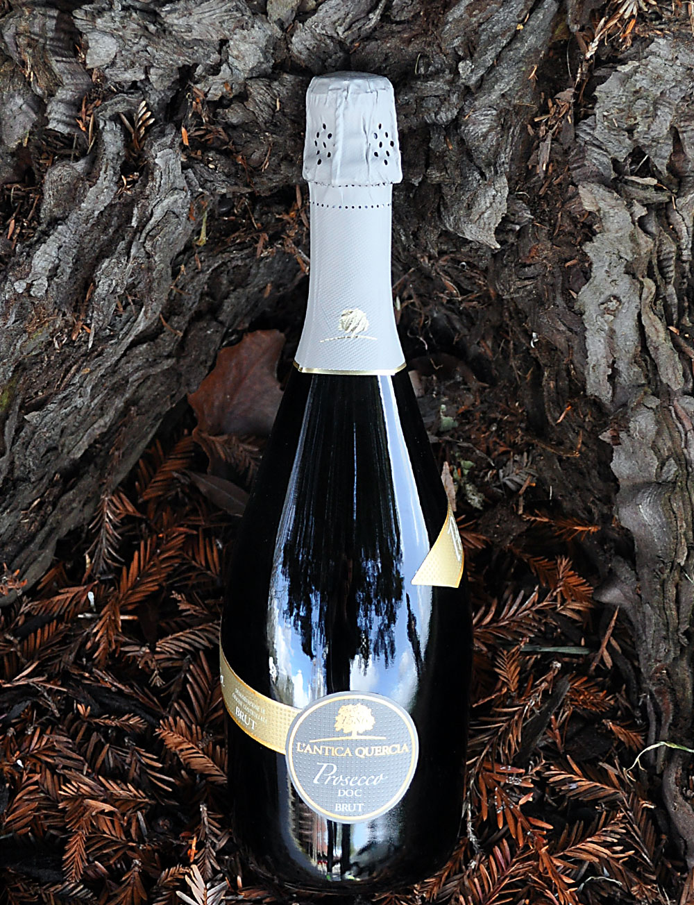 L'Antica Quercia 2013 Prosecco DOC 750ml Wine Bottle