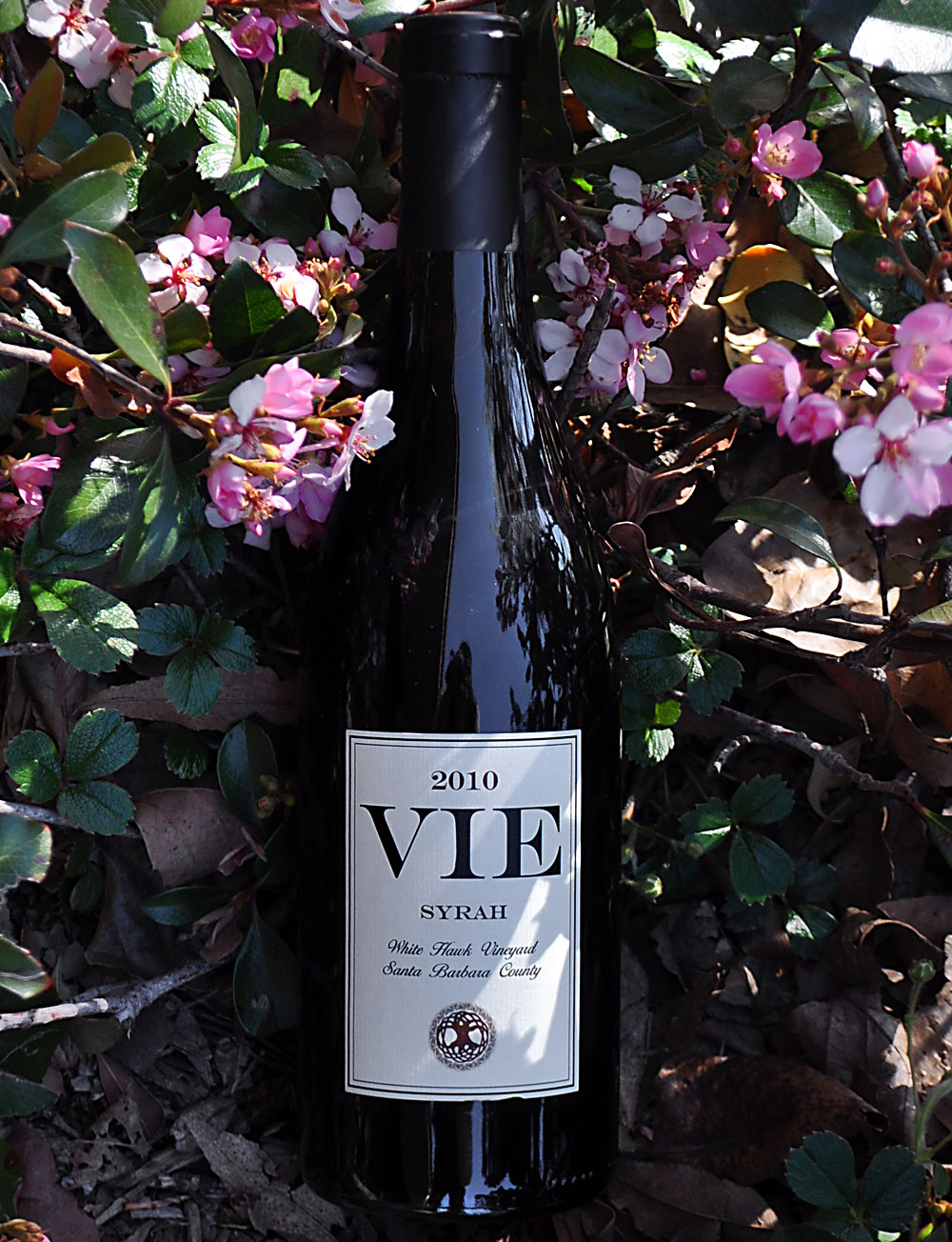 Vie Winery 2010 Santa Barbara County Syrah 750ml Wine Bottle