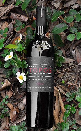 Topos Wines 2009 Reserve Cabernet Sauvignon 750ml Wine Bottle