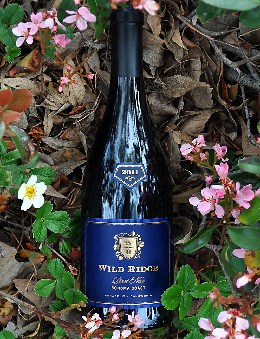 Wild Ridge Vineyards 2011 Sonoma Coast Pinot Noir 750ml Wine Bottle