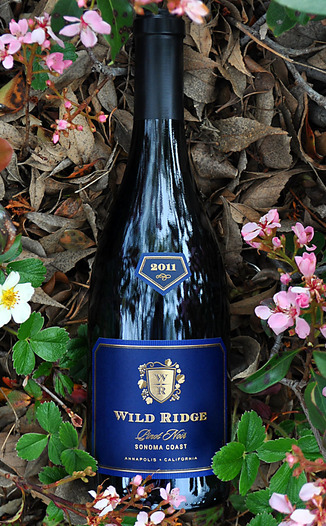 Wild Ridge Vineyards 2011 Sonoma Coast Pinot Noir 750ml Wine Bottle
