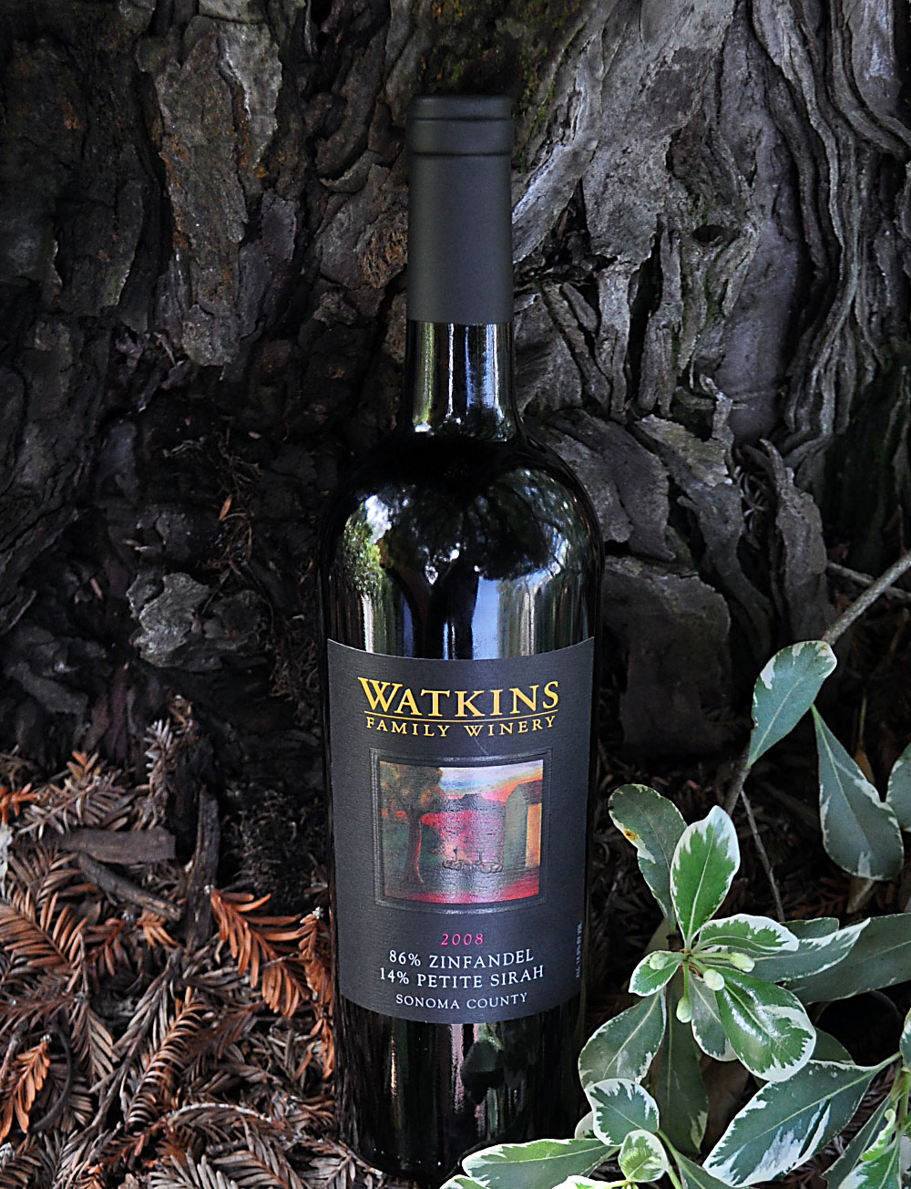 Watkins Family Winery 2008 Sonoma County Zinfandel 750ml Wine Bottle