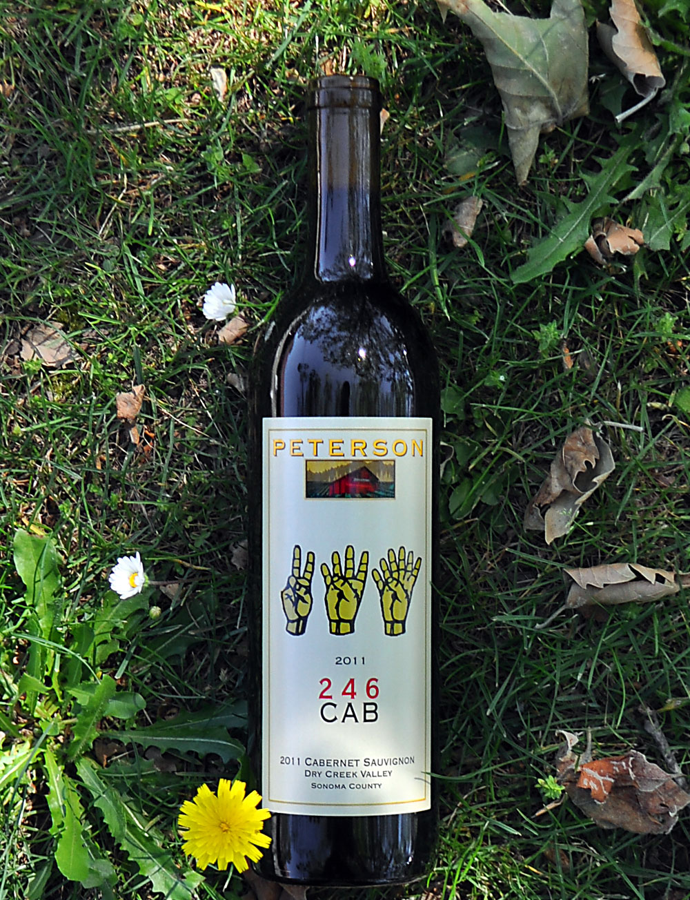 Peterson 2011 Dry Creek Valley 2-4-6 Cabernet Sauvignon 750ml Wine Bottle