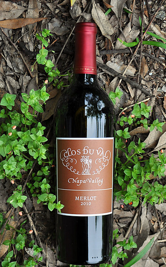 Clos du Val 2010 Napa Valley Merlot 750ml Wine Bottle