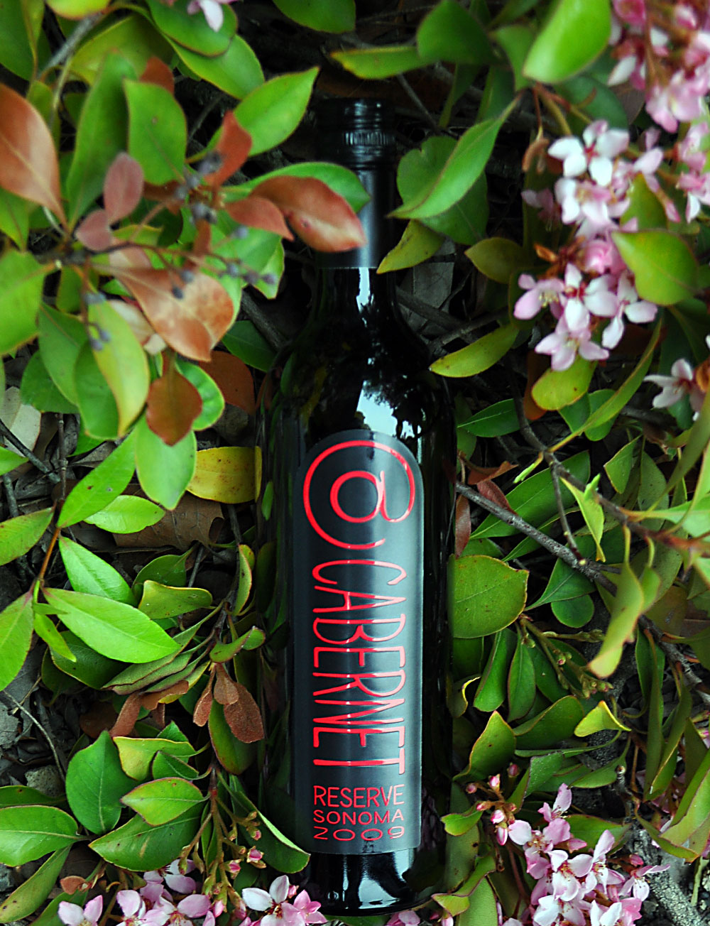 Deerfield Ranch 2009 @Cabernet Sonoma County Reserve 750ml Wine Bottle