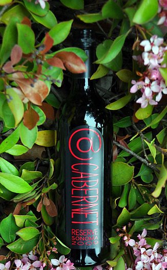 Deerfield Ranch 2009 @Cabernet Sonoma County Reserve 750ml Wine Bottle