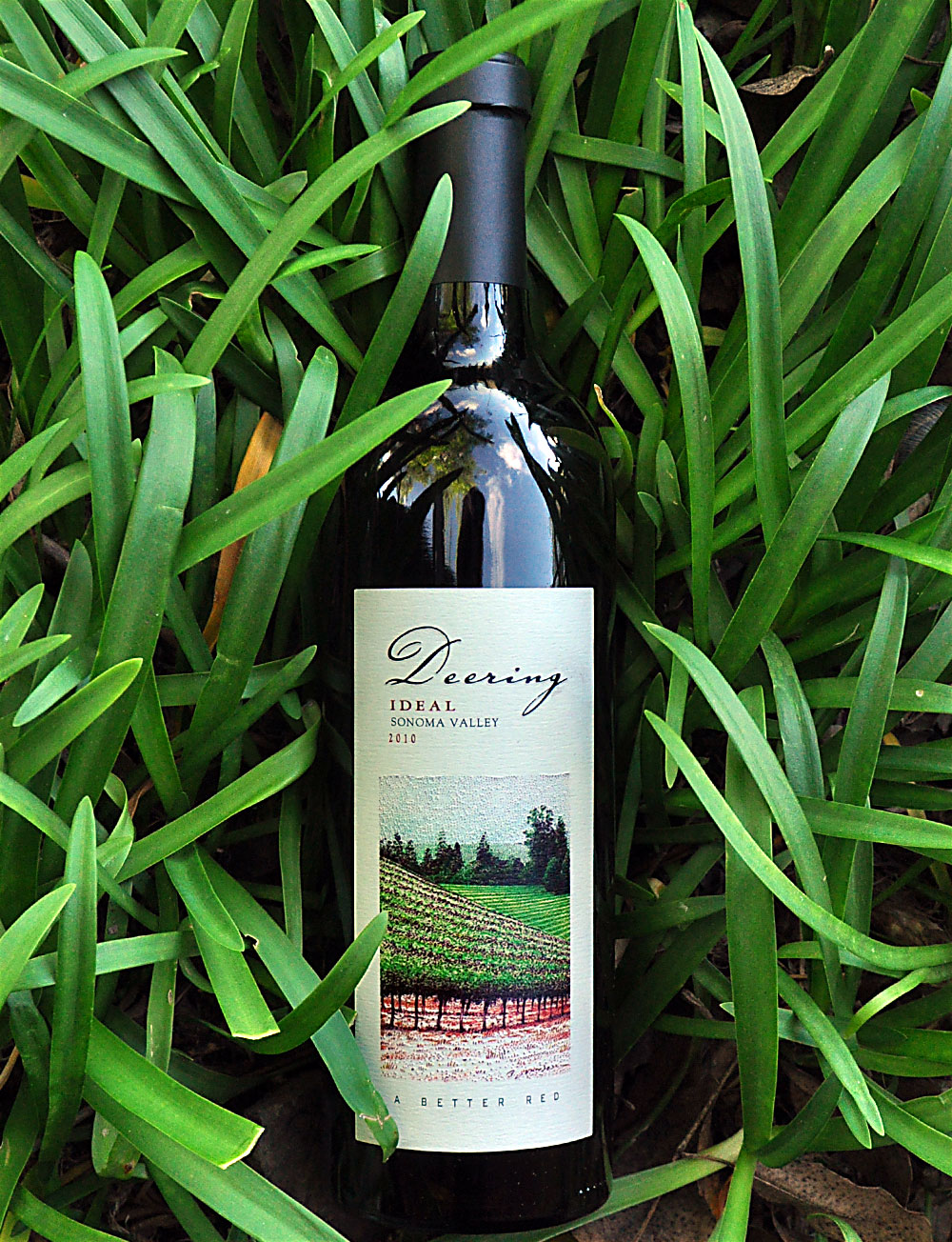 Deering Wine 2010 Ideal Sonoma Valley Red Blend 750ml Wine Bottle