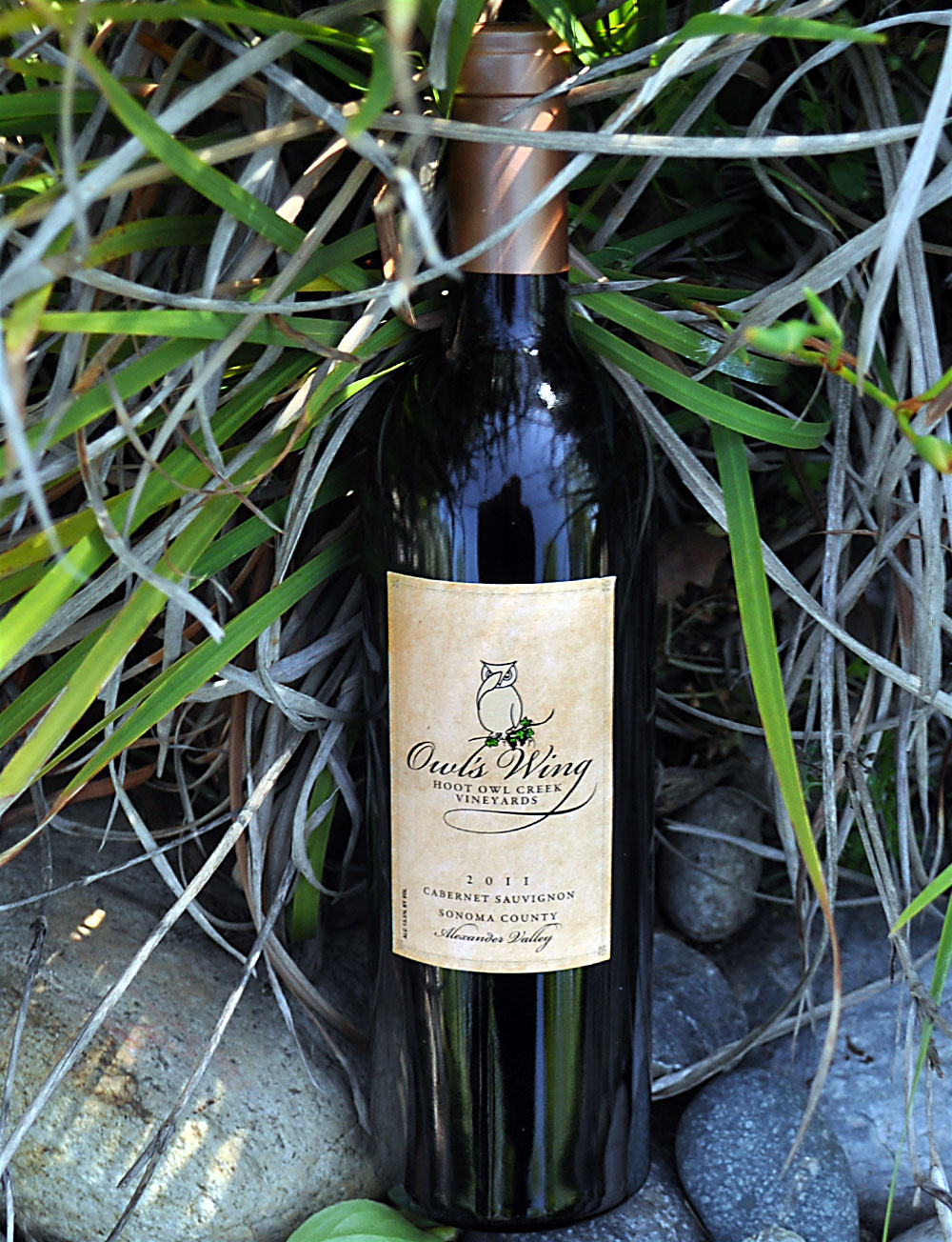 Hoot Owl Creek Vineyards 2011 Owl’s Wing Alexander Valley Cabernet Sauvignon 750ml Wine Bottle