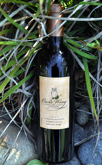 Hoot Owl Creek Vineyards 2011 Owl’s Wing Alexander Valley Cabernet Sauvignon 750ml Wine Bottle