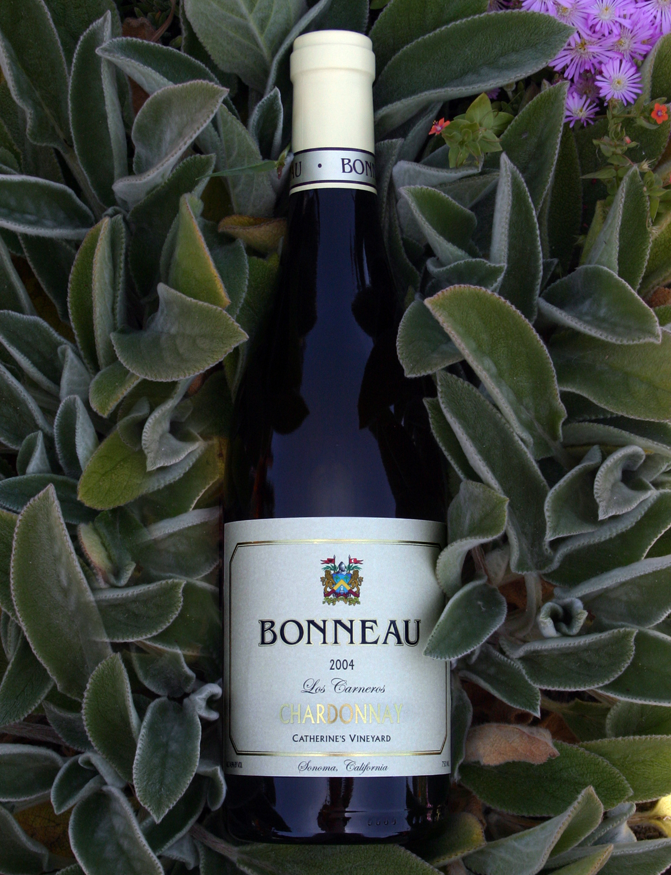 Bonneau 2004 Los Carneros Chardonnay 750ml Wine Bottle